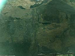 acastle 165950.jpg